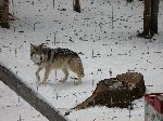 005_2009-0214-1236-45-JoeA.jpg